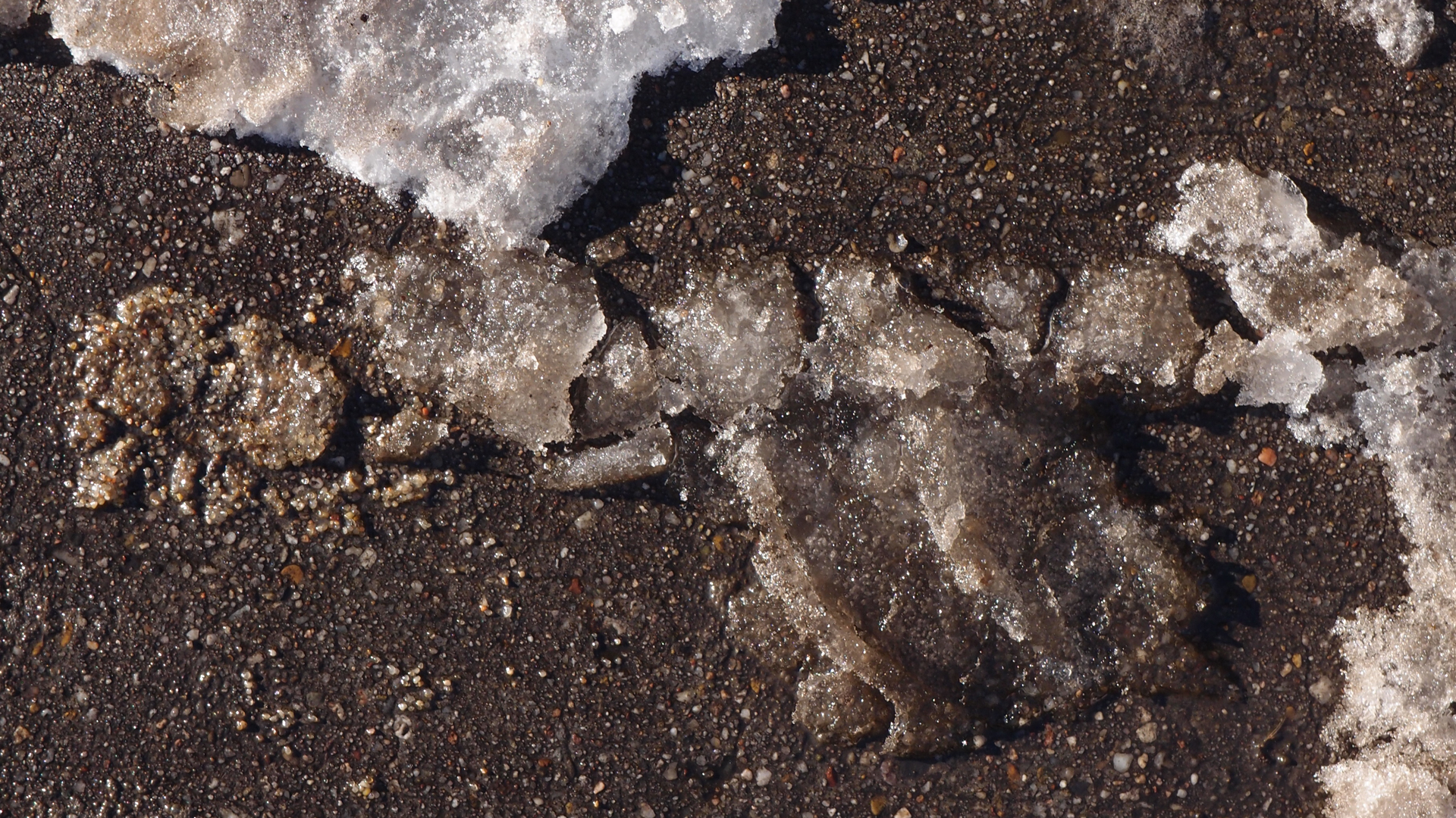 2021-01-30 Wasser in der Sp�le II, On-Off (Remix John Cage 'Sonatas & Interludes') (Komposition, Remix, Recording, Foto)